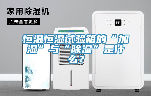 恒溫恒濕試驗箱的“加濕”與“除濕”是什么？