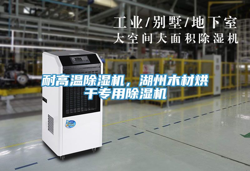 耐高溫除濕機(jī)，湖州木材烘干專(zhuān)用除濕機(jī)