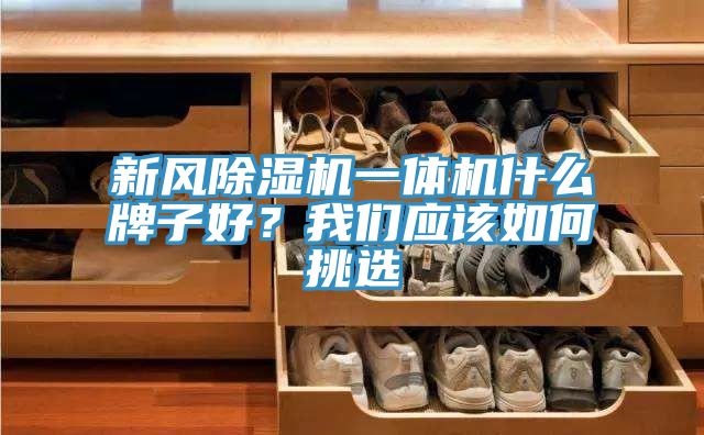 新風(fēng)除濕機(jī)一體機(jī)什么牌子好？我們應(yīng)該如何挑選