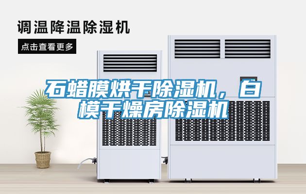 石蠟?zāi)ず娓沙凉駲C(jī)，白模干燥房除濕機(jī)