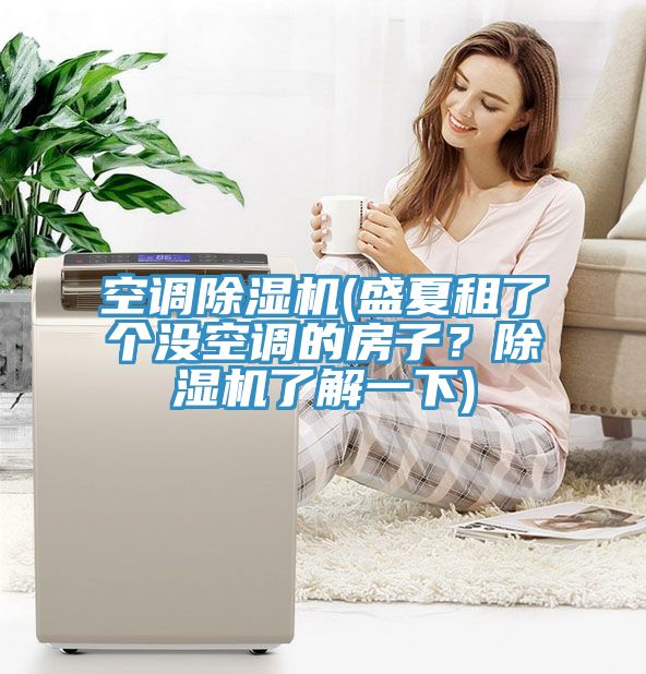 空調(diào)除濕機(jī)(盛夏租了個沒空調(diào)的房子？除濕機(jī)了解一下)