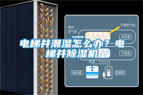 電梯井潮濕怎么辦？電梯井除濕機(jī)