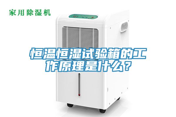 恒溫恒濕試驗(yàn)箱的工作原理是什么？