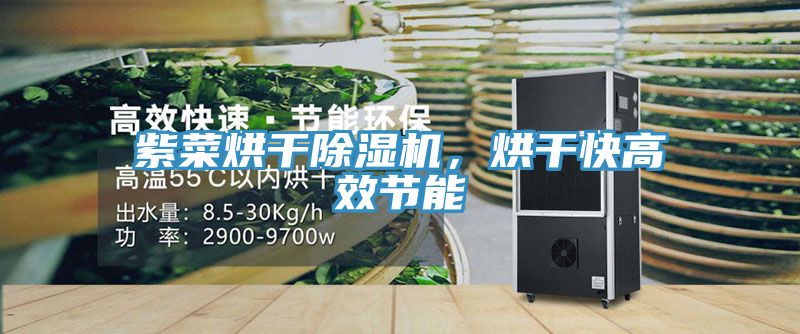 紫菜烘干除濕機(jī)，烘干快高效節(jié)能
