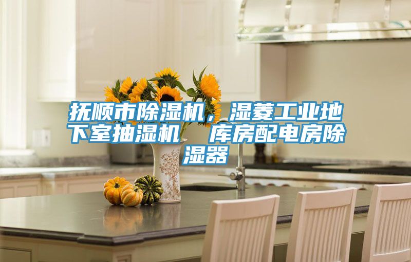 撫順市除濕機，濕菱工業(yè)地下室抽濕機  庫房配電房除濕器