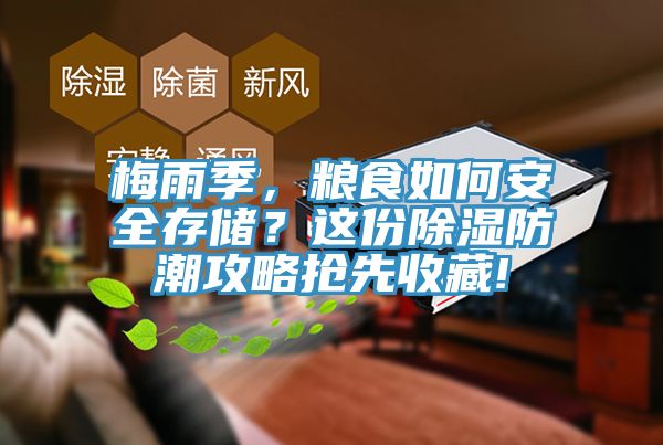 梅雨季，糧食如何安全存儲(chǔ)？這份除濕防潮攻略搶先收藏!