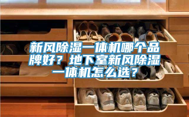 新風(fēng)除濕一體機哪個品牌好？地下室新風(fēng)除濕一體機怎么選？