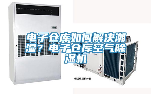 電子倉庫如何解決潮濕？電子倉庫空氣除濕機(jī)