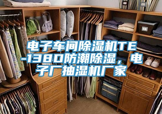 電子車間除濕機(jī)TE-138D防潮除濕，電子廠抽濕機(jī)廠家