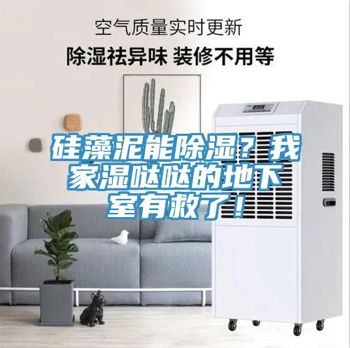 硅藻泥能除濕？我家濕噠噠的地下室有救了！