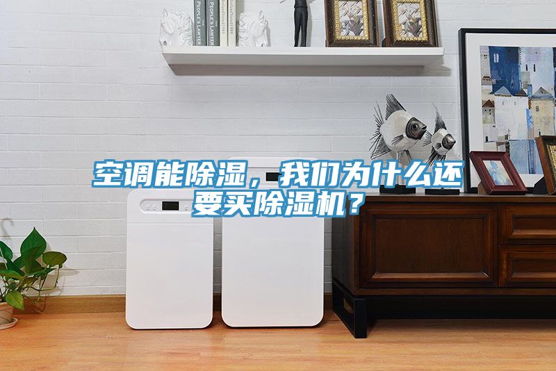 空調(diào)能除濕，我們?yōu)槭裁催€要買除濕機(jī)？