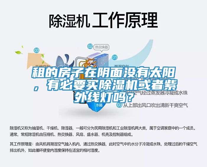 租的房子在陰面沒有太陽，有必要買除濕機或者紫外線燈嗎？