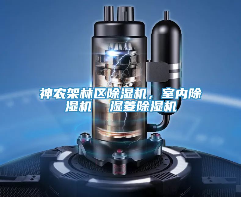 神農(nóng)架林區(qū)除濕機，室內(nèi)除濕機  濕菱除濕機