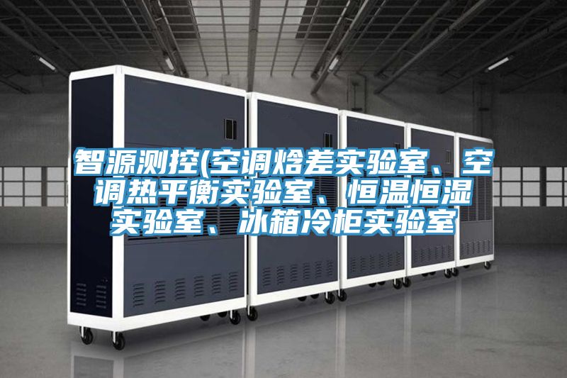 智源測控(空調(diào)焓差實(shí)驗(yàn)室、空調(diào)熱平衡實(shí)驗(yàn)室、恒溫恒濕實(shí)驗(yàn)室、冰箱冷柜實(shí)驗(yàn)室