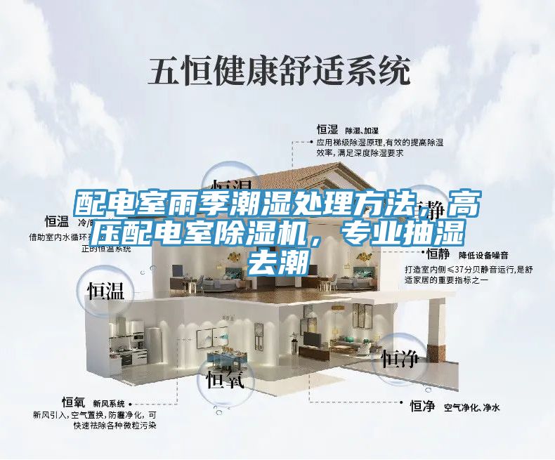 配電室雨季潮濕處理方法，高壓配電室除濕機(jī)，專業(yè)抽濕去潮