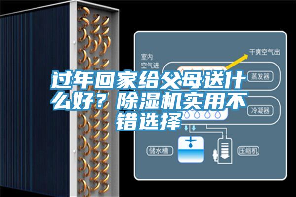 過年回家給父母送什么好？除濕機(jī)實(shí)用不錯(cuò)選擇