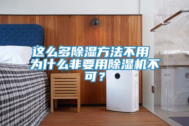 這么多除濕方法不用 為什么非要用除濕機(jī)不可？