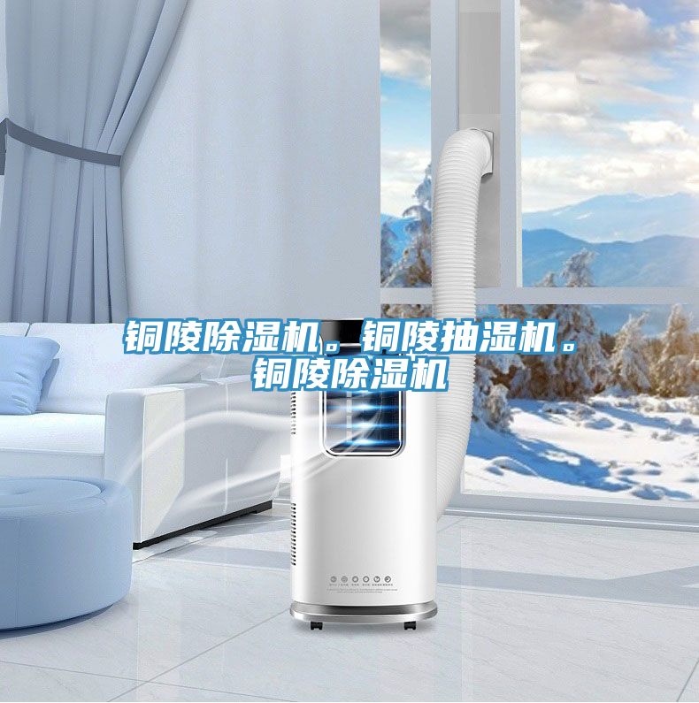銅陵除濕機。銅陵抽濕機。銅陵除濕機