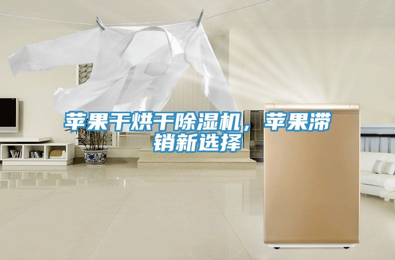 蘋果干烘干除濕機，蘋果滯銷新選擇