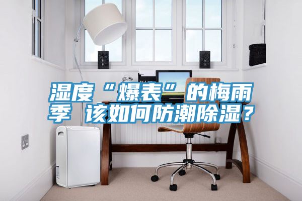 濕度“爆表”的梅雨季 該如何防潮除濕？