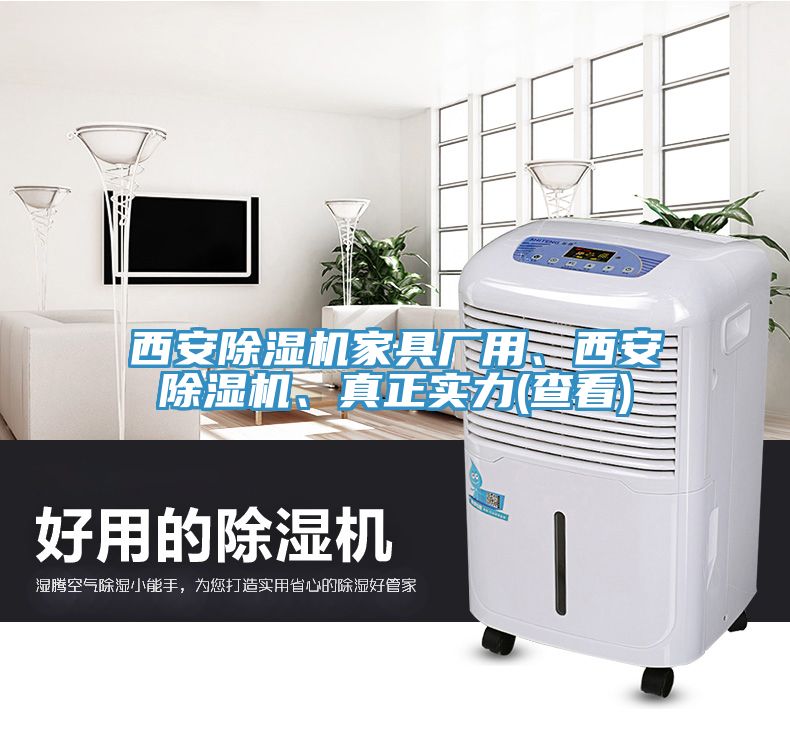 西安除濕機(jī)家具廠用、西安除濕機(jī)、真正實(shí)力(查看)