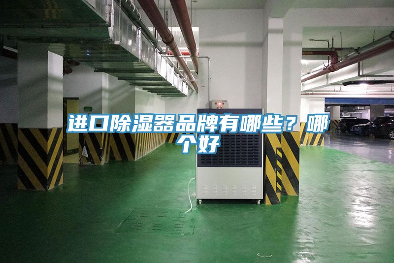 進(jìn)口除濕器品牌有哪些？哪個(gè)好