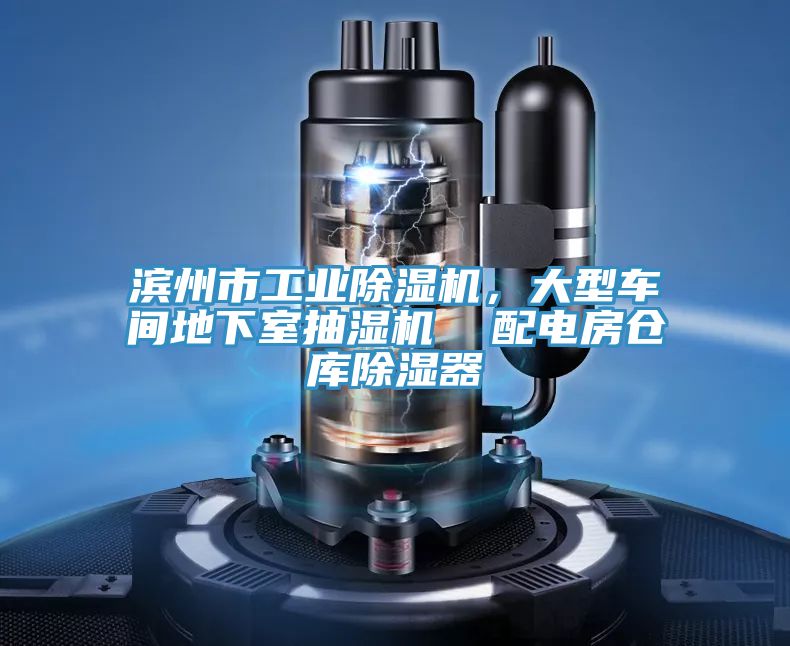 濱州市工業(yè)除濕機(jī)，大型車間地下室抽濕機(jī)  配電房倉(cāng)庫(kù)除濕器