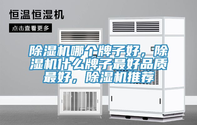除濕機(jī)哪個(gè)牌子好，除濕機(jī)什么牌子最好品質(zhì)最好，除濕機(jī)推薦
