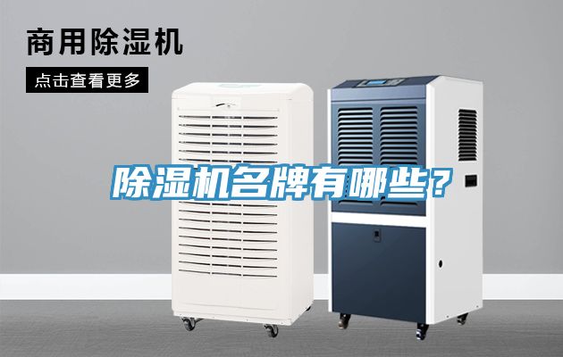 除濕機(jī)名牌有哪些？
