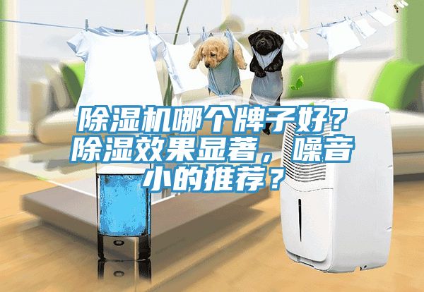 除濕機(jī)哪個(gè)牌子好？除濕效果顯著，噪音小的推薦？