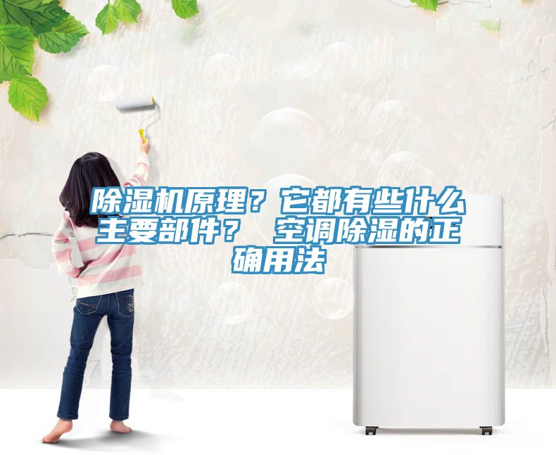 除濕機(jī)原理？它都有些什么主要部件？ 空調(diào)除濕的正確用法