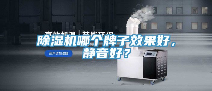 除濕機(jī)哪個(gè)牌子效果好，靜音好？