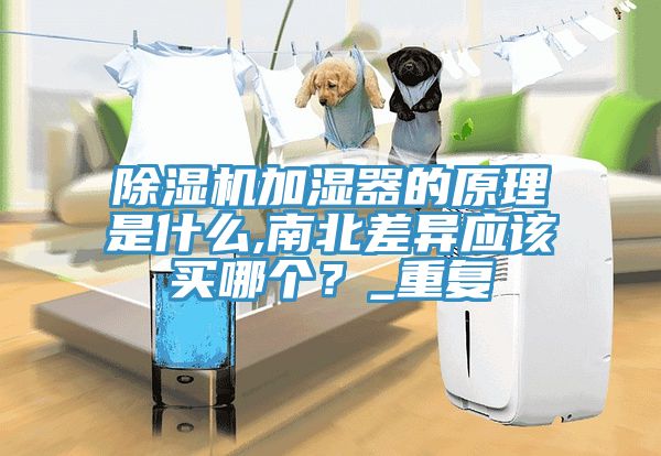 除濕機(jī)加濕器的原理是什么,南北差異應(yīng)該買哪個(gè)？_重復(fù)