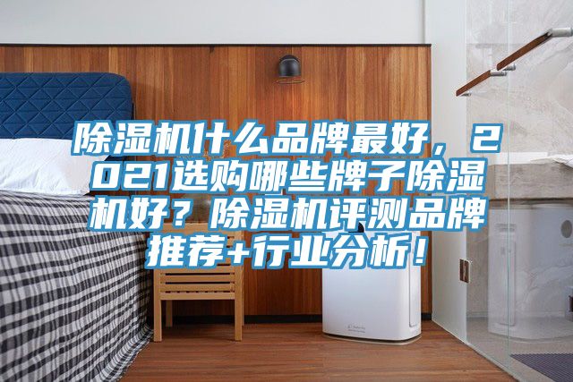 除濕機(jī)什么品牌最好，2021選購哪些牌子除濕機(jī)好？除濕機(jī)評測品牌推薦+行業(yè)分析！