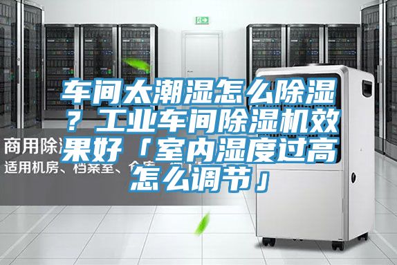 車間太潮濕怎么除濕？工業(yè)車間除濕機效果好「室內(nèi)濕度過高怎么調(diào)節(jié)」