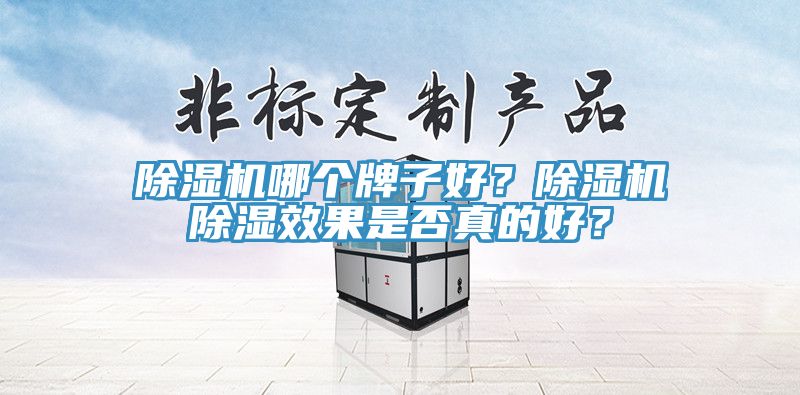 除濕機(jī)哪個(gè)牌子好？除濕機(jī)除濕效果是否真的好？