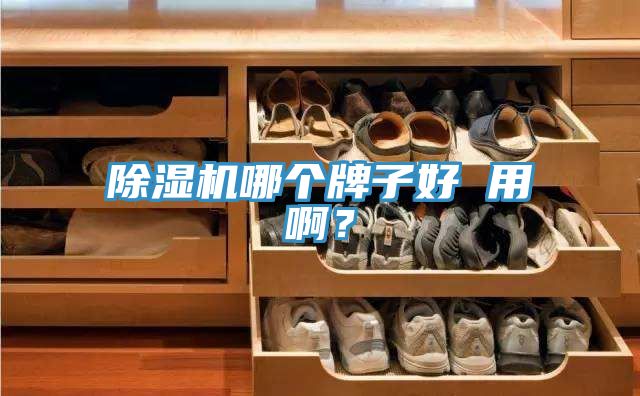 除濕機(jī)哪個(gè)牌子好 用??？