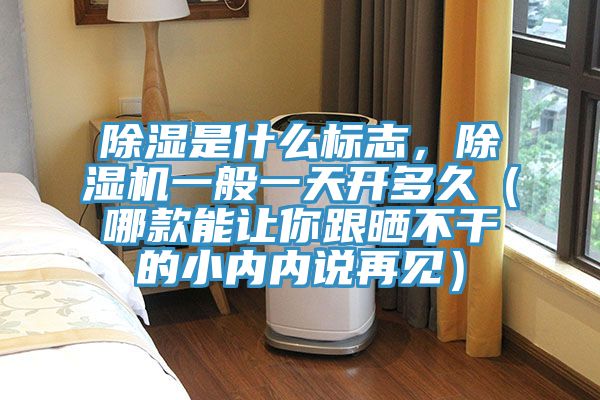 除濕是什么標志，除濕機一般一天開多久（哪款能讓你跟曬不干的小內(nèi)內(nèi)說再見）
