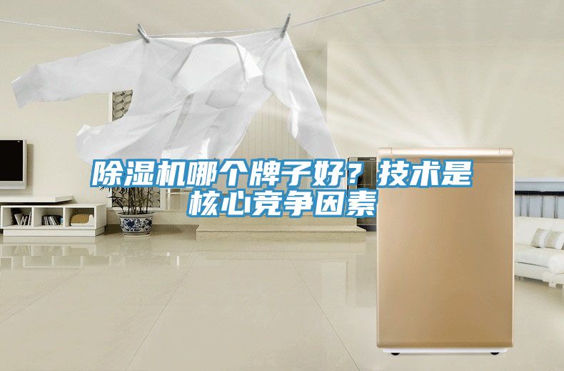 除濕機(jī)哪個(gè)牌子好？技術(shù)是核心競(jìng)爭(zhēng)因素
