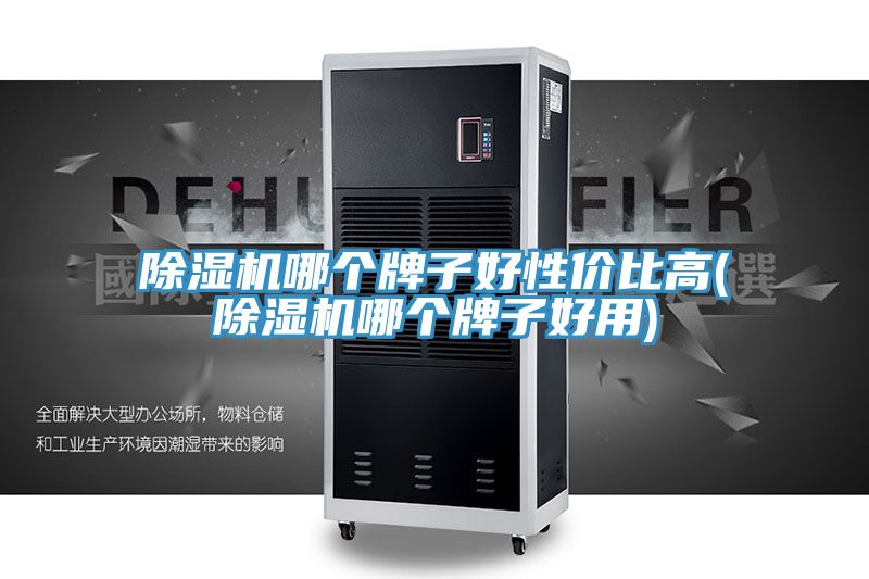 除濕機(jī)哪個牌子好性價(jià)比高(除濕機(jī)哪個牌子好用)