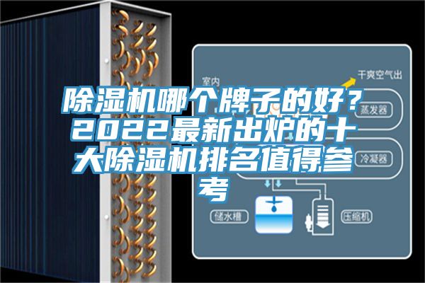 除濕機(jī)哪個(gè)牌子的好？2022最新出爐的十大除濕機(jī)排名值得參考