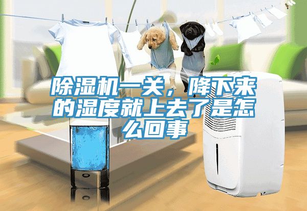 除濕機一關，降下來的濕度就上去了是怎么回事
