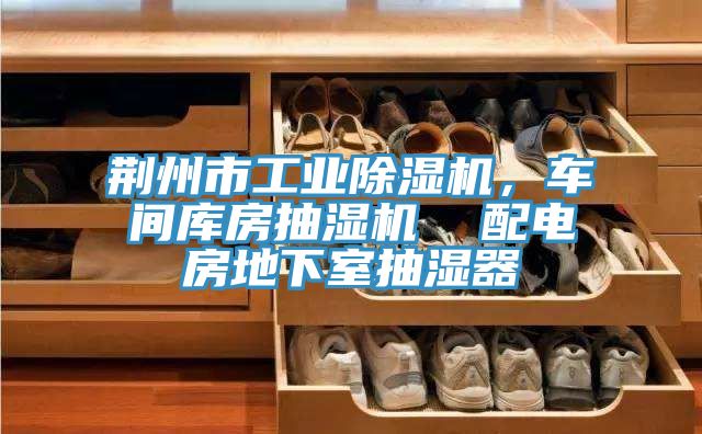 荊州市工業(yè)除濕機(jī)，車間庫(kù)房抽濕機(jī)  配電房地下室抽濕器