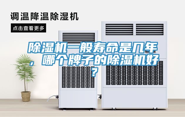 除濕機一般壽命是幾年，哪個牌子的除濕機好？