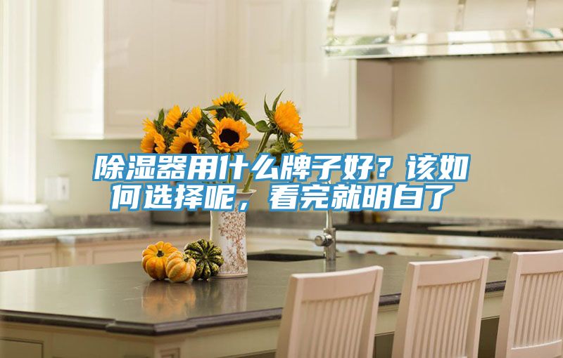 除濕器用什么牌子好？該如何選擇呢，看完就明白了