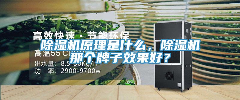 除濕機(jī)原理是什么，除濕機(jī)那個(gè)牌子效果好？
