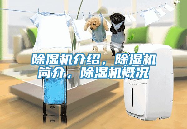 除濕機介紹，除濕機簡介，除濕機概況