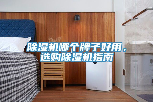 除濕機(jī)哪個牌子好用，選購除濕機(jī)指南