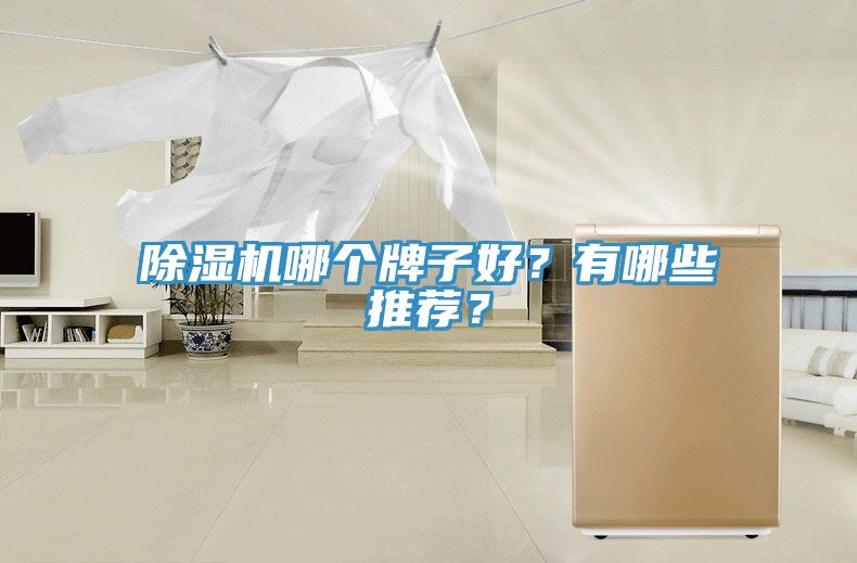 除濕機(jī)哪個(gè)牌子好？有哪些推薦？