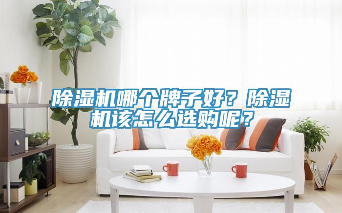 除濕機(jī)哪個(gè)牌子好？除濕機(jī)該怎么選購呢？